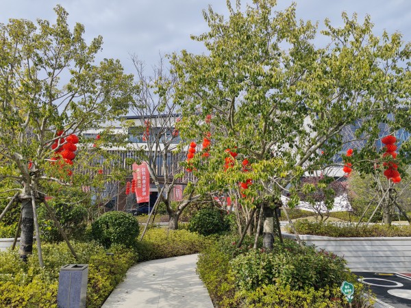 1707199523121636.jpg @上饒金輝銅鑼灣·天奕云璟_001.jpg